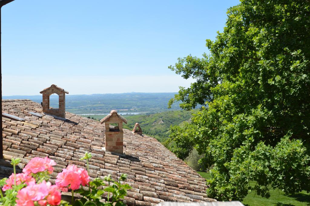 Luxury Villa Colle Dell'Asinello ,Proprietari ,Villa In Esclusiva Near Orvieto Guardea Экстерьер фото