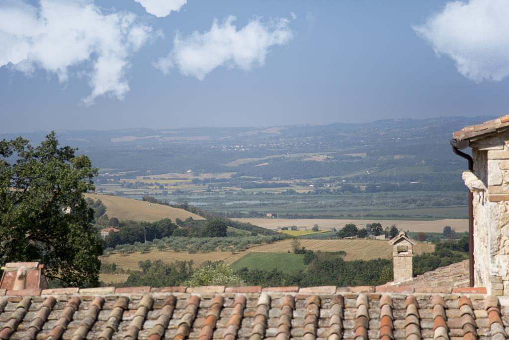 Luxury Villa Colle Dell'Asinello ,Proprietari ,Villa In Esclusiva Near Orvieto Guardea Экстерьер фото
